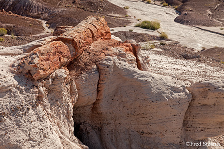 Petrified Forest National Park Blue Mesa